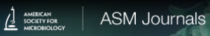 logo_ASM