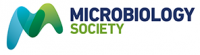 Logo_Microbio