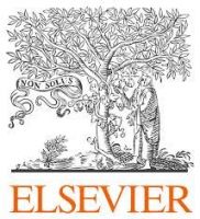 Logo_Elsevier